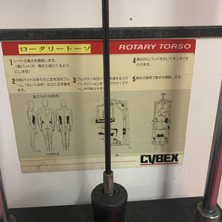 筋トレマシーン　ロータリートーソ　CYBEX