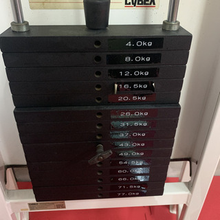 筋トレマシーン　ロータリートーソ　CYBEX