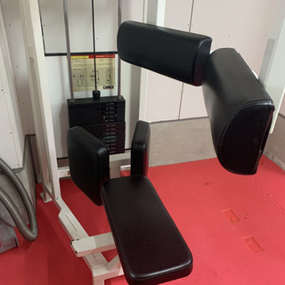 筋トレマシーン　ロータリートーソ　CYBEX