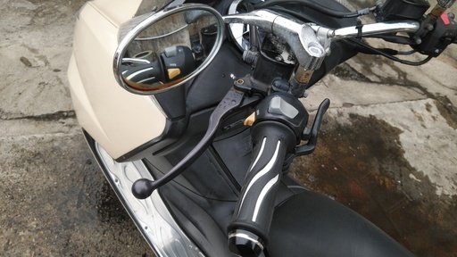 ヤマハマグザム250 SG17J ベージュ 油脂類全交換済 バイクの季節がやっ