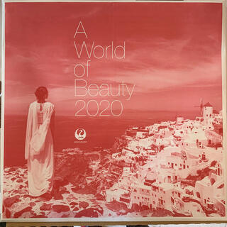 JAL カレンダー 2020年 A WORLD OF BEAUT...