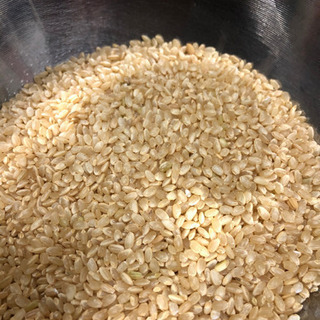 玄米（新米、令和元年産、30kg）