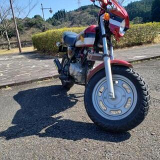 エイプ50改 エンジン不動 | www.alassema-group.com