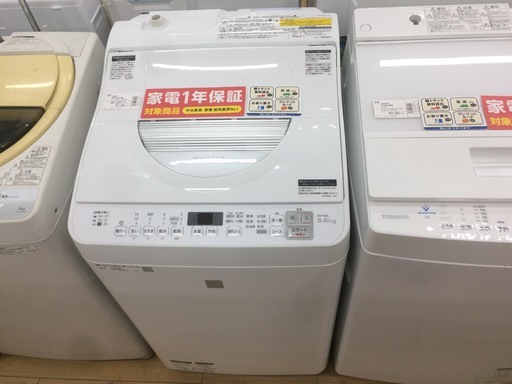 安心の12ヶ月動作保証付！洗濯から乾燥までワンストップ！SHARP(シャープ)の縦型洗濯乾燥機です！