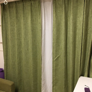緑のカーテン190センチ　決まりました！