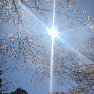 🌸シングルさんのメンバー募集🌸グループチャットから始めませんか？