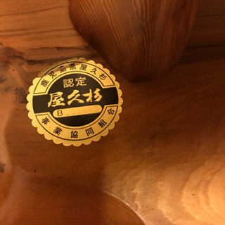 屋久杉 18年程前