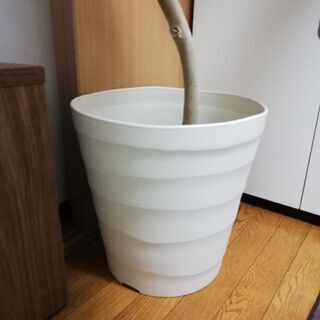 ☆シンプルで大きなプランター・植木鉢☆ 500円☆
