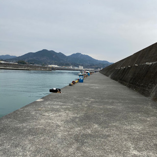 しず釣り　静岡釣りサークル　メンバー募集中