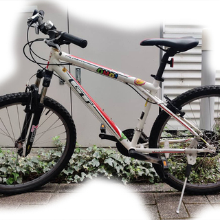 gt palomar 2000