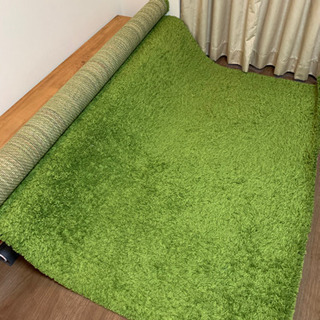 【豊島区・IKEAのカーペット】