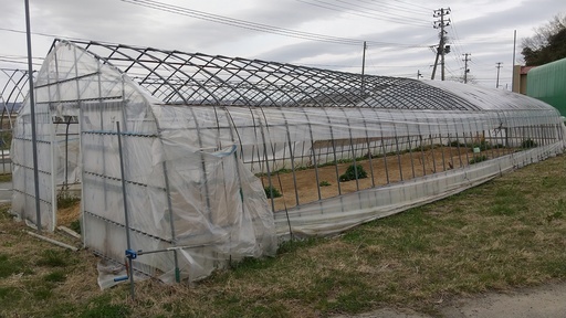 宮城県 農業用 ビニールハウス 5棟有り 1棟から売ります ビニール無し 解体引取限定 離農