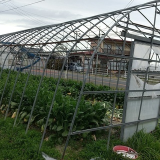 宮城県 農業用 ビニールハウス 5棟有り 1棟から売ります ビニール無し