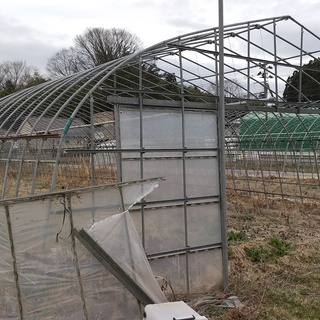 宮城県 農業用 ビニールハウス 5棟有り 1棟から売ります ビニール無し