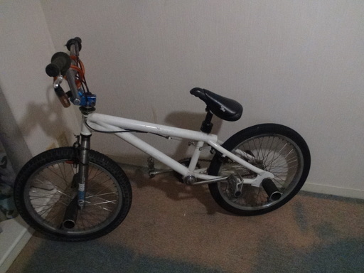 中古　フラットランド　FLOWER・BMX【取引中】