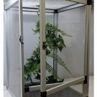 その他 新品 クリアメッシュケージ XL カメレオン 爬虫類