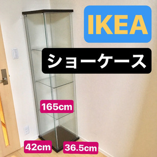 【取引先決定しました】IKEA ショーケース