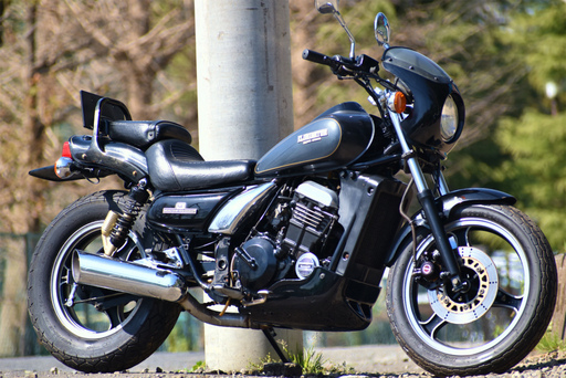 ☆エリミネーター250SE＊40馬力＊プラグ新品交換済み＊WAKO’Sオイル交換済＊下取り全国配送も可能です☆彡