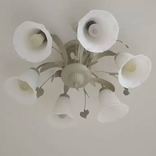 オーデリック シャンデリア | fgsnantienparra.org.au