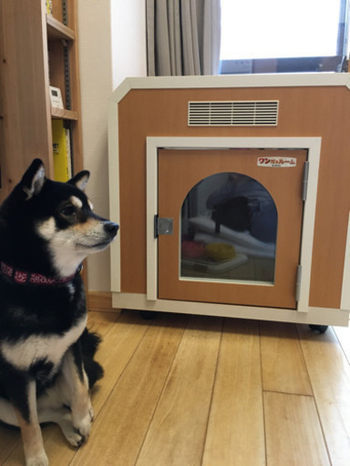 KAWAI 防音犬小屋　わんだールーム