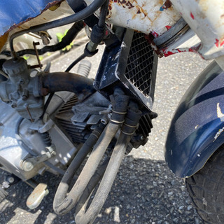 希少ホンダ　初期型モンキー