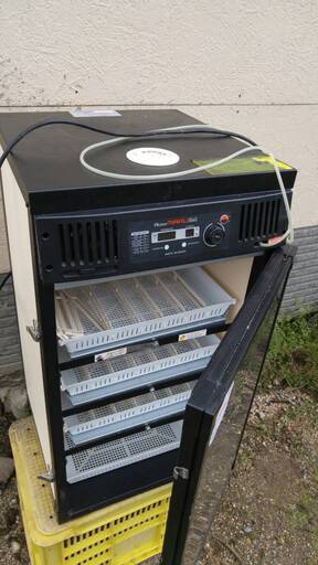 値下げ「新古品」業務用孵卵器（ふ卵器）