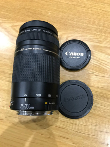 【Canon】EF75-300ズームレンズ