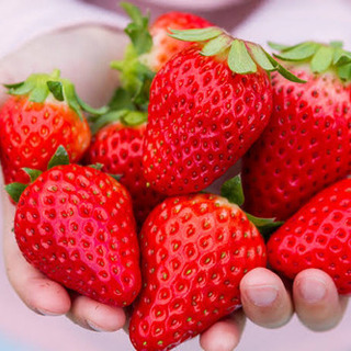 ファーストクラス イベント情報 ジモティー