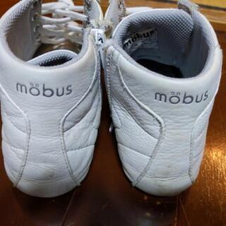 mobus 21.5位