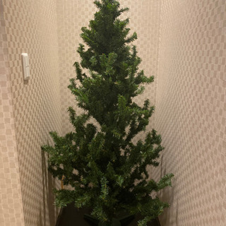 クリスマスツリーあげます。