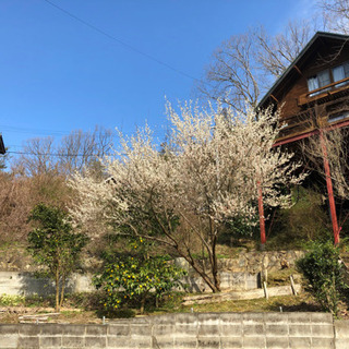 今日のお昼から奈良の天川村あたり