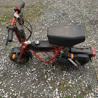 [希少] ディブラッシ R7