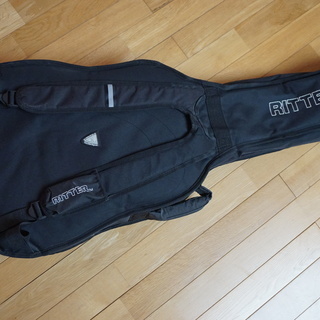 アコースティックギター（Aria Dreadnought AF-35 N)