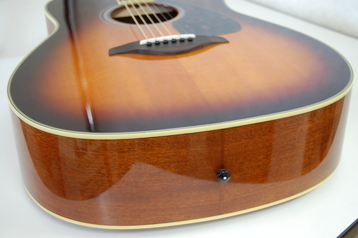 BARACUDA アコースティックギター OM-25 魚ロゴ アコギ ☆ PayPay