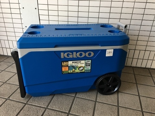 【展示品】IGLOO  クーラーボックス