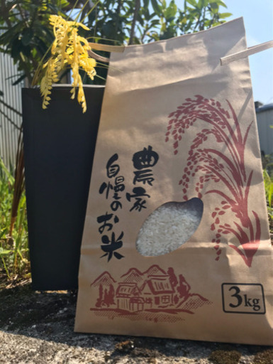 令和5年産熊本県山鹿市　菊鹿町で作られた米　無農薬