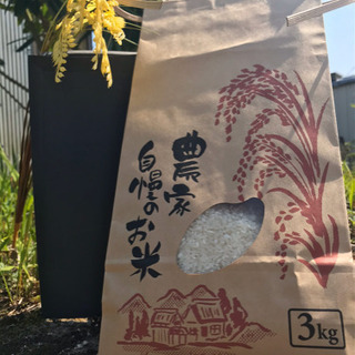 令和４年産熊本県山鹿市　菊鹿町で作られた米　無農薬