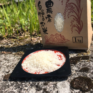 令和４年産熊本県山鹿市　菊鹿町で作られた米　無農薬
