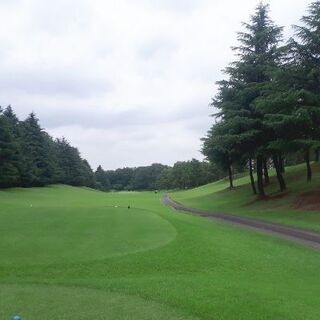 ⛳🏌‍♂足立区、草加市、川口市、葛飾区、荒川区付近のゴルフ仲間募集