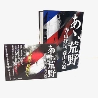 ☆新品☆ あゝ荒野 寺山修司 森山大道 特装版 限定50部 古書