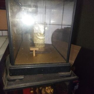 金パク置き物、各一万円(全部で五万円) 【公式通販】