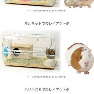 新品 未使用 ハムスター飼育セット 値下げ よし 豊田のその他の中古あげます 譲ります ジモティーで不用品の処分 新品 未使用 ハムスター飼育セット 値下げ よし 豊田のその他の中古あげます 譲ります ジモティーで不用品の処分