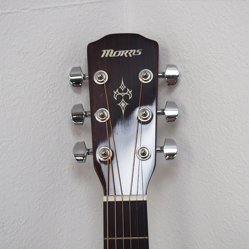 Morris モーリス アコースティックギター M-351 TS ソフトケース付
