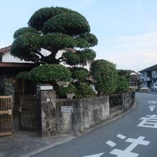 剪定、草刈りの時期になりました。