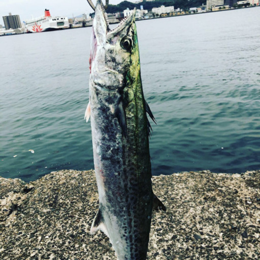 釣りサークルに入りませんか 初心者大歓迎 くー 別府の釣りのメンバー募集 無料掲載の掲示板 ジモティー