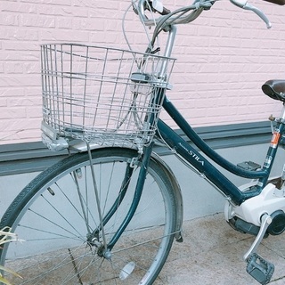 電動アシスト自転車