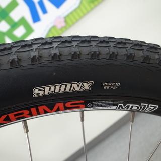 AVALANCHE 4.0 GT MTB マウンテンバイク　モノ市場半田店 119