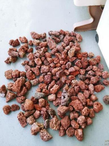 溶岩石 赤 北井康寛 村上のその他の中古あげます 譲ります ジモティーで不用品の処分