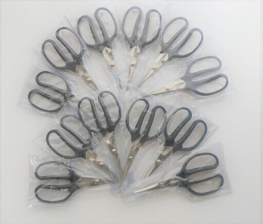 クラフト鋏×12本セット