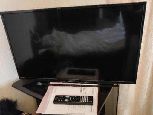 SONY 2018年式　32型液晶テレビ32W500E